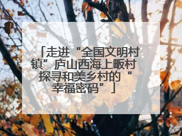 走进“全国文明村镇”庐山西海上畈村 探寻和美乡村的“幸福密码”