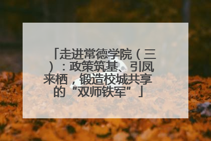 走进常德学院（三）：政策筑基、引凤来栖，锻造校城共享的“双师铁军”