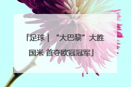 足球｜“大巴黎”大胜国米 首夺欧冠冠军