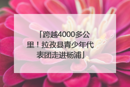 跨越4000多公里！拉孜县青少年代表团走进杨浦