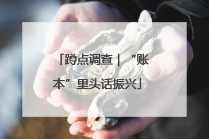 蹲点调查｜“账本”里头话振兴