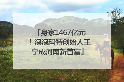 身家1467亿元！泡泡玛特创始人王宁成河南新首富