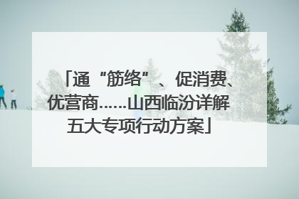 通“筋络”、促消费、优营商……山西临汾详解五大专项行动方案