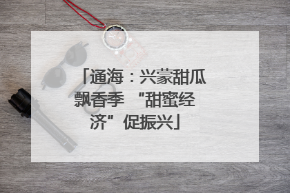 通海：兴蒙甜瓜飘香季 “甜蜜经济”促振兴