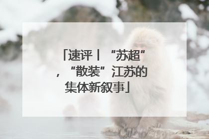 速评丨“苏超”，“散装”江苏的集体新叙事