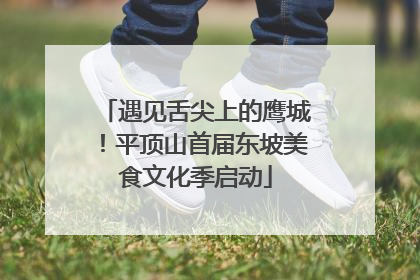 遇见舌尖上的鹰城！平顶山首届东坡美食文化季启动