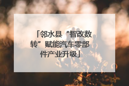 邻水县“智改数转”赋能汽车零部件产业升级