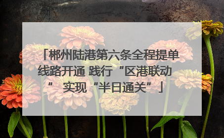 郴州陆港第六条全程提单线路开通 践行“区港联动” 实现“半日通关”