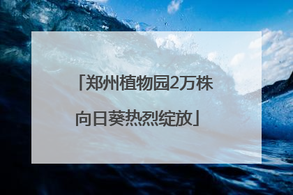 郑州植物园2万株向日葵热烈绽放