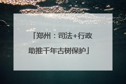 郑州：司法+行政助推千年古树保护
