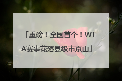 重磅！全国首个！WTA赛事花落县级市京山