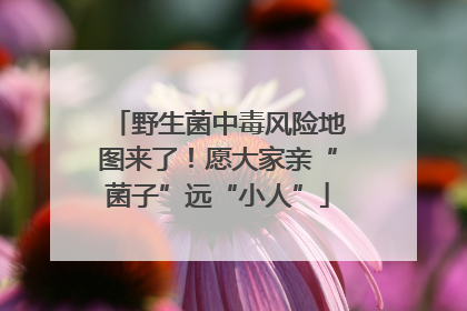 野生菌中毒风险地图来了！愿大家亲“菌子”远“小人”