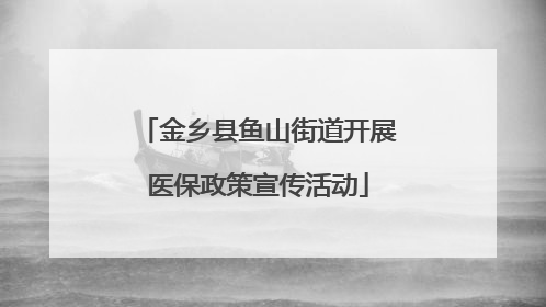 金乡县鱼山街道开展医保政策宣传活动
