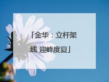 金华：立杆架线 迎峰度夏