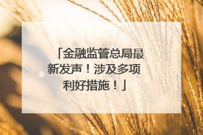 金融监管总局最新发声！涉及多项利好措施！