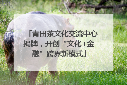 青田茶文化交流中心揭牌，开创“文化+金融”跨界新模式