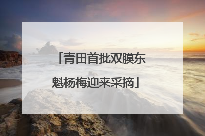 青田首批双膜东魁杨梅迎来采摘