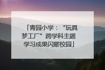 青园小学：“玩具梦工厂”跨学科主题学习成果闪耀校园