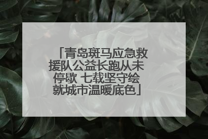 青岛斑马应急救援队公益长跑从未停歇 七载坚守绘就城市温暖底色