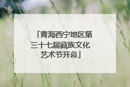 青海西宁地区第三十七届藏族文化艺术节开幕