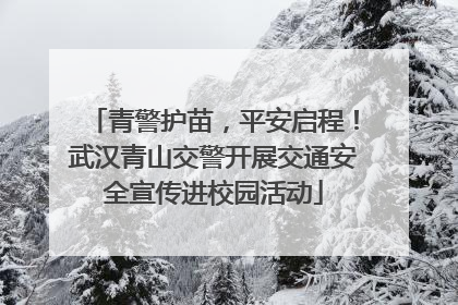 青警护苗，平安启程！武汉青山交警开展交通安全宣传进校园活动