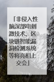 非侵入性脑深部电刺激技术、区块链智能漏洞检测系统等将亮相上交会