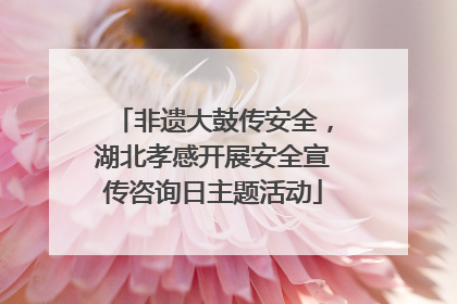 非遗大鼓传安全，湖北孝感开展安全宣传咨询日主题活动