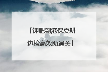 钾肥到港保夏耕 边检高效助通关