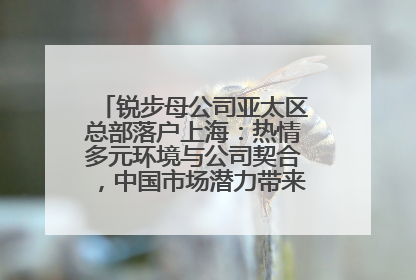锐步母公司亚太区总部落户上海：热情多元环境与公司契合，中国市场潜力带来重要机遇