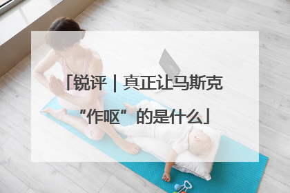 锐评｜真正让马斯克“作呕”的是什么