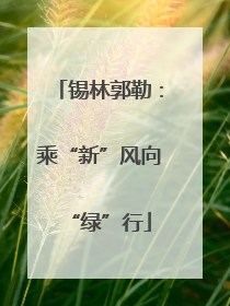 锡林郭勒：乘“新”风向“绿”行