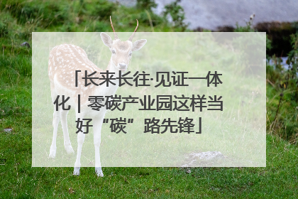 长来长往·见证一体化｜零碳产业园这样当好“碳”路先锋
