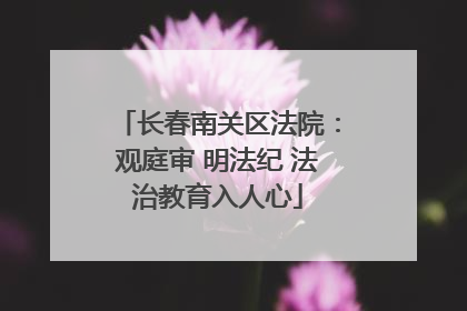 长春南关区法院：观庭审 明法纪 法治教育入人心