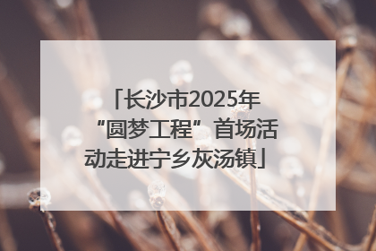 长沙市2025年“圆梦工程”首场活动走进宁乡灰汤镇