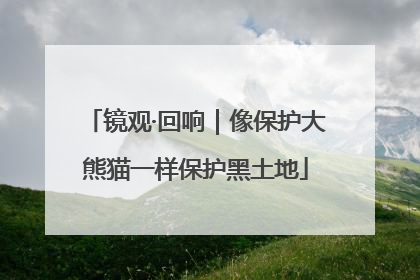 镜观·回响｜像保护大熊猫一样保护黑土地