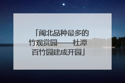 闽北品种最多的竹观赏园——杜潭百竹园建成开园