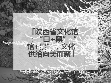 陕西省文化馆：“白+黑”“馆+景”，文化供给向美而聚