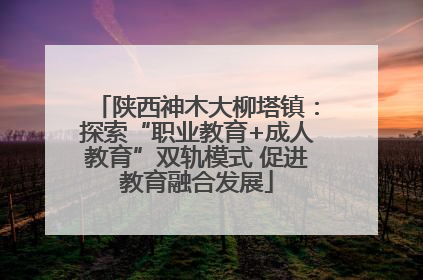 陕西神木大柳塔镇：探索“职业教育+成人教育”双轨模式 促进教育融合发展