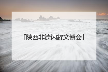 陕西非遗闪耀文博会