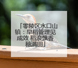 零陵区水口山镇：早稻管理见成效 稻浪飘香穗满田