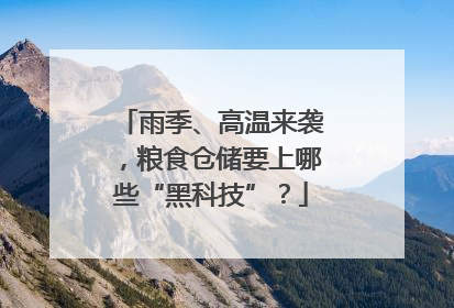 雨季、高温来袭，粮食仓储要上哪些“黑科技”？