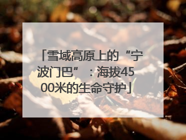 雪域高原上的“宁波门巴”：海拔4500米的生命守护