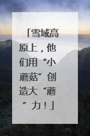 雪域高原上，他们用“小蘑菇”创造大“蘑”力！