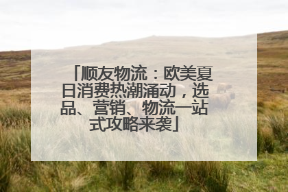 顺友物流：欧美夏日消费热潮涌动，选品、营销、物流一站式攻略来袭