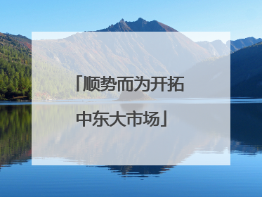 顺势而为开拓中东大市场