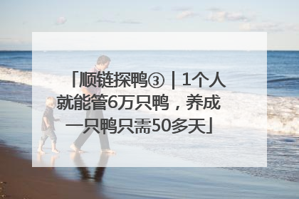 顺链探鸭③｜1个人就能管6万只鸭，养成一只鸭只需50多天