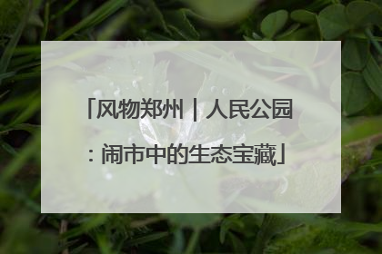 风物郑州｜人民公园：闹市中的生态宝藏