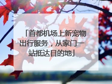 首都机场上新宠物出行服务，从家门一站抵达目的地