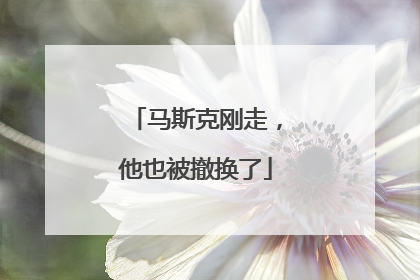 马斯克刚走，他也被撤换了