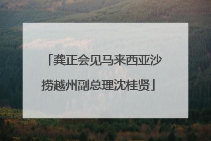 龚正会见马来西亚沙捞越州副总理沈桂贤